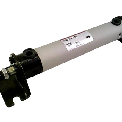 NCDGLN20-0300