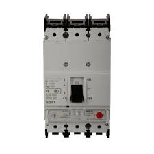 NZMN1-A125