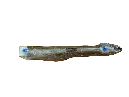 0.44BRDSR04.00