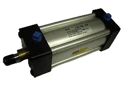 02.50-T2MAUS13A-4.000